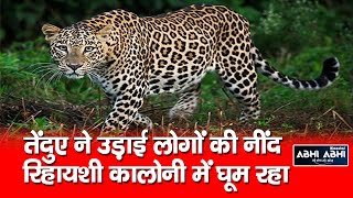 Leopard | CCTV Camera | Wildlife |
