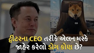 ટ્વીટરના CEO તરીકે એલન મસ્કે જાહેર કરેલો ડોગ કોણ છે? | Twitter | Elon Musk |