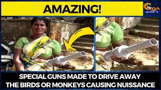 #Amazing! Special guns made to drive away the birds or monkeys causing nuissance