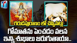 Garuda puranam shocking Facts about Gomatha |Garudapuranam Truths | Benfits of Gomatha|Top Telugu TV