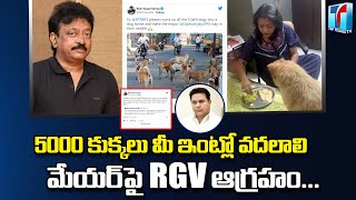 RGV Strong Counter To Mayor Gadwal Vijayalakshmi & KTR | Amberpet Kid Incident | Top Telugu TV