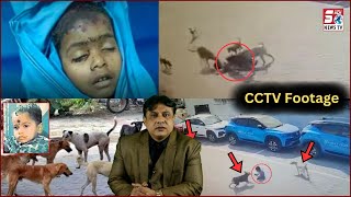 5 Saal Ka Masoom Hua Awara Kutto Ka Shikaar | CCTV Footage | Kya Kar Raha Hai GHMC Department ? |