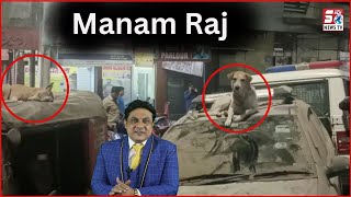 Kya Hua Mission Stray Dogs ? | Kutto Ka Manam Raj | Kalapathar ps | @SachNews |