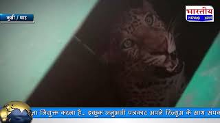 #कुक्षी : पिंजरे में कैद हुआ तेंदुआ, कई दिनों से दहशत में थे लोग। #bn #dhar #kukshi