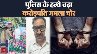 Gurugram में गमले चुराने वाले करोड़पति शख्स को Police ने किया गिरफ्तार, Video हुआ था Viral