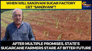 When will Sanjivani sugar factory get "Sanjivani"?