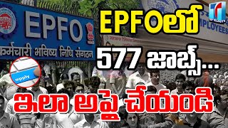 577 Job Notifictions in EPFO Department 2023 | EPFO Job Vacancy 2023 | Top Telugu TV
