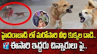 Another Two Children Attacked by Hyderabad Dogs |Hyderabad Dogs Attacked on Children |Top Telugu TV