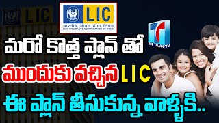 Best LIC Policy 2023 |LIC Policy for Retirement |Best Insurance Policy |Life Insurance|Top Telugu TV