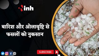 Hailstorm in Bhopal | बारिश और ओलावृष्टि से फसलों को नुकसान, किसान परेशान | Latest Hindi News