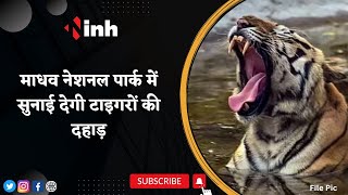 Madhav National Park में सुनाई देगी Tigers की दहाड़, CM Shivraj और Jyotiraditya Scindia करेंगे रिलीज