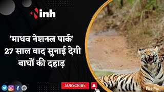 Madhav National Park: 27 साल बाद सुनाई देगी बाघों की दहाड़ | CM Shivraj Singh | Jyotiraditya Scindia