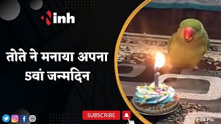 Kittu Fifth Birthday Celebration | जन्मदिन पर चोंच से काटा केक | देखिए Video