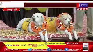 Kanpur UP News | 10 साल के बाद रिटायर हुए चुलबुल-मौसम, चकेरी एयरपोर्ट पर तैनात थे दोनों कुत्ते