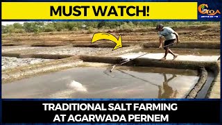 Traditional Salt Farming at Agarwada Pernem.
