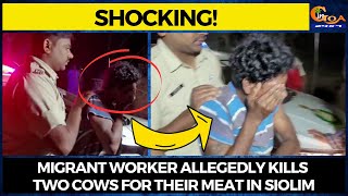 #Shocking! Migrant worker allegedly kills two cows for their meat in Siolim