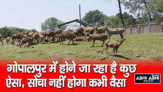 Zoo Gopalpur | Animal Rescue Centre | Palampur |
