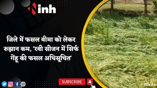 Raigarh Farming News: जिले में फसल बीमा को लेकर रुझान कम| 'रबी सीजन में सिर्फ गेंहू की फसल अधिसूचित'