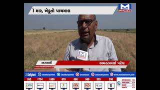 અરવલ્લી : વરસાદનો માર, ખેડૂતો પાયમાલ  | MantavyaNews