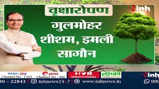 CM Shivraj की पर्यावरण संरक्षण की मुहिम | कामयाबी भरे दो साल पूरे | पौधा लगाओ, पर्यावरण बचाओं