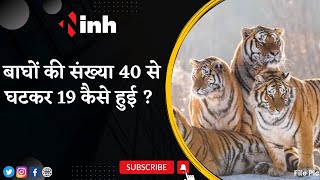 'बाघों की संख्या 40 से घटकर 19 कैसे हुई' वन मंत्री Mohammad Akbar ने Mahesh Gagda पर उठाए सवाल