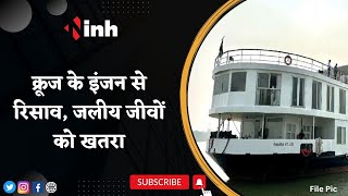 MP Bhopal News | Cruise के Engine से हो रहा रिसाव, जलीय जीवों के लिए बना खतरा | Latest News
