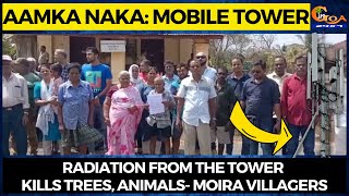 Aamka Naka: Mobile Tower | Radiation from the tower kills trees, animals- Moira villagers