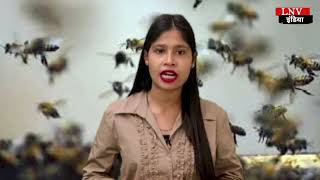 ओडिशा : 10वीं के छात्रों पर मधुमक्खियों का हमला, दर्द से कराहते हुए दी परीक्षा