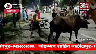 मुस्लिम समाज के स्थानीय लोगों ने गाय को सकुशल नाले से निकाला बाहर