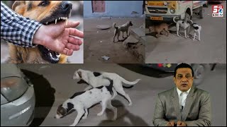 Junglee Kutto Ka Raaj | Awaam Apni Aur Apne Bachcho Ki Hifazat Kare | Hyderabad |@SachNews