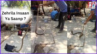 Indian Cobra Mila Malakpet Mein Log Hue Khaufzada | Dekhiye Kaise Pakda Saanp Ko | @SachNews |