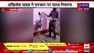 Raebareli | पक्षी विहार से लापता हुआ सारस मिला,अखिलेश यादव ने योगी सरकार पर साथा निशाना | JAN TV