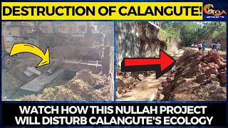 Destruction of Calangute! Watch how this nullah project will disturb Calangute's ecology