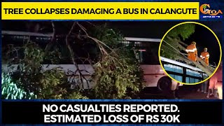 Tree collapses, damaging a bus in Calangute. No casualties reported. Estimated loss of Rs 30K