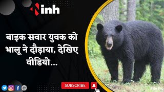 Bear Viral Video: Bike सवार युवक को भालू ने दौड़ाया | देखिए वीडियो...
