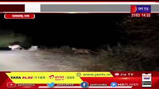 Rajsamand - Raj News | सड़क पर अठखेलियां करते नजर आए पैंथर,कार चालक ने  मोबाइल में किया कैद | JAN TV