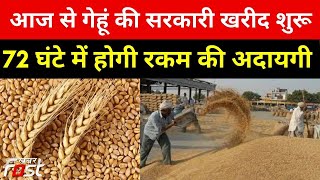 Haryana: आज से गेहूं की सरकारी खरीद शुरू, 72 घंटे में होगी रकम की अदायगी