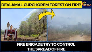 Devlamal-Curchorem forest on fire! Fire brigade try to control the spread of fire