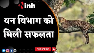 Cheetah Rescued: वन विभाग को मिली सफलता | Kuno National Park से भागे चीते को किया गया रेस्क्यू