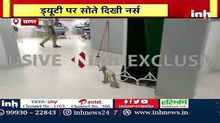 ICU में लगा गंदगी का अंबार | घूमते दिखा कुत्ता, सोते रही नर्स | Sagar News | Madhya Pradesh News