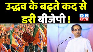 maharashtra में क्या है NCP-Congress का प्लान ? Uddhav thackeray | Eknath Shinde | Breaking |#dblive