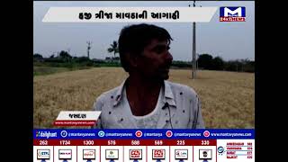 Jasdan  :માવઠાની આગાહીને કારણે ખેડૂતો ચિંતામાં | MantavyaNews |Farmersareworried