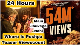 Where Is Pushpa Teaser Record Breaking Views In 24 Hours On Youtube Across Hindi And Other Languages
