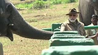 Prime Minister Narendra Modi at Theppakadu Elephant camp