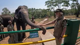 PM’s visit to Bandipur & Mudumalai reserves | Elephant feeding, Wildlife spotting, Safari & more!