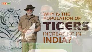 PM Modi spells out the reason for the increasing number of tigers in India! I PM Modi