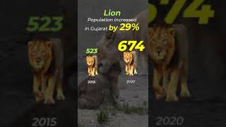 Restoring India’s Roar | #tiger  | #lion  | #cheetah #wildlife #wildlifeconservation