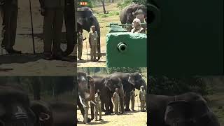 An unforgettable interaction! I PM Modi I Theppakadu Elephant camp I #wildlife