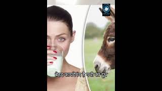 donkeys || milk | Advantageous