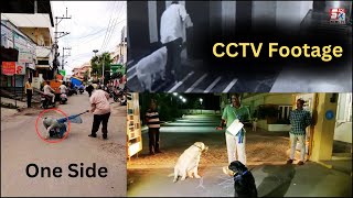 C.I Par Hua Case | Awaam Ko Kutto Se Darane Par | CCTV Footage | Dekhiye Kya Kaha Awaam Ne @SachNews
